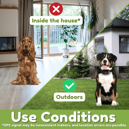 one dog standing inside house withGPS Wireless Electric Fence F810 collar and one dog standing outside in grass with GPS Wireless Electric Fence F810 collar