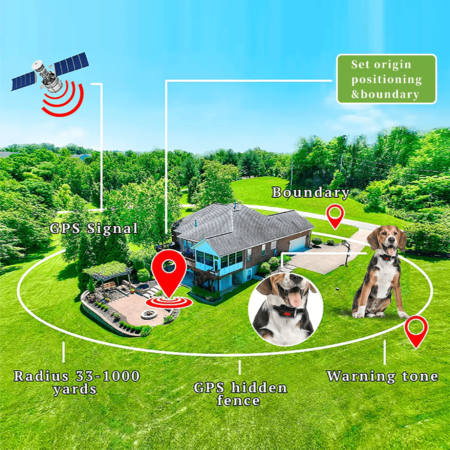 Dog wearing GPS Wireless Electric Fence F810 collar standing on grass in front of house