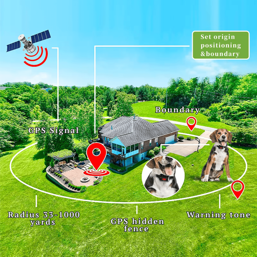 Dog wearing GPS Wireless Electric Fence F810 collar standing on grass in front of house