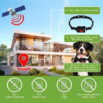 dog wearing GPS Wireless Electric Fence F810 collar and GPS signal in the background